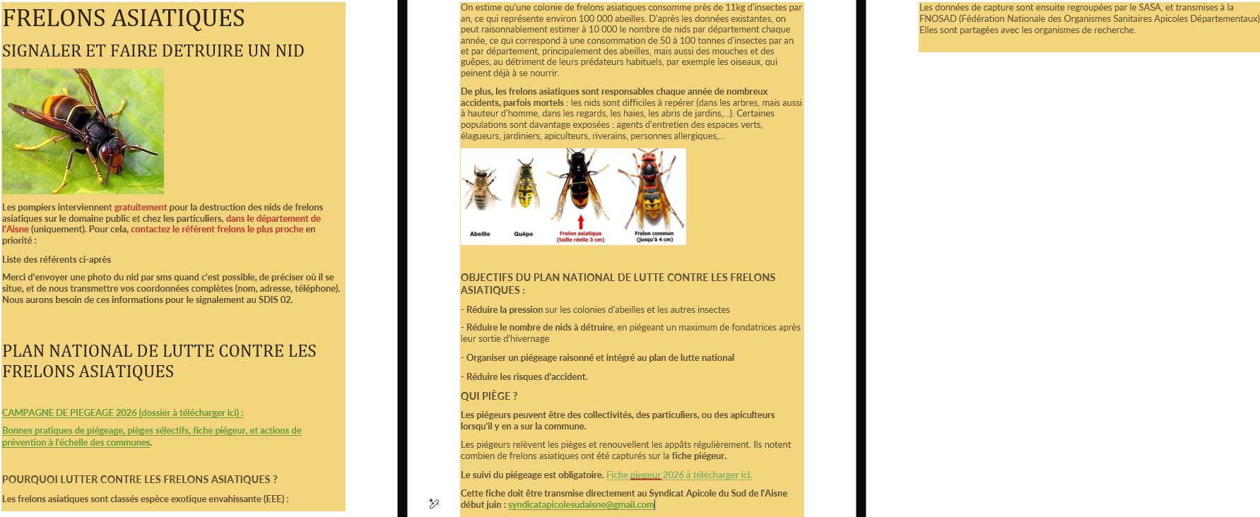 frelonsasiati 2025-12-03.jpg