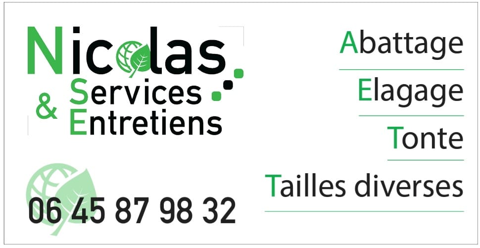 NICOLAS SERVICES ET ENTRETIENS-LOGO.jpg