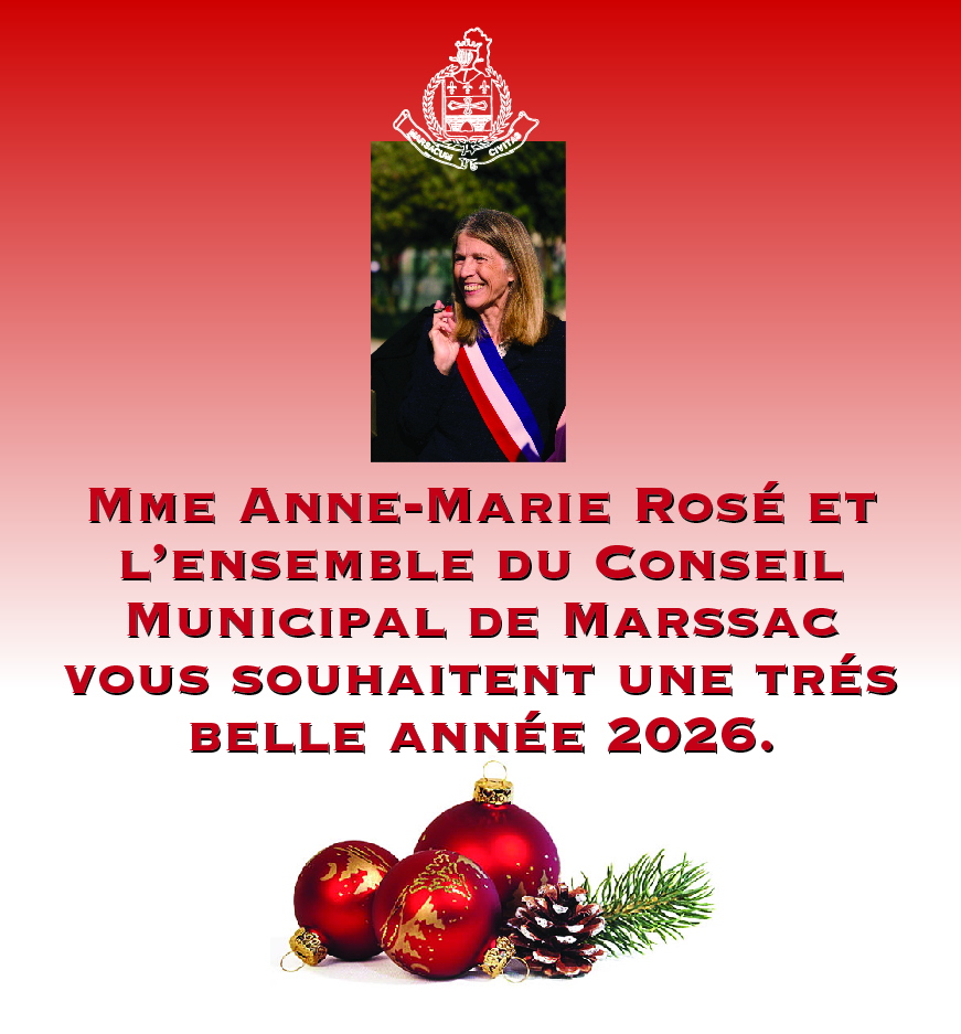 bonne année 2026.jpg