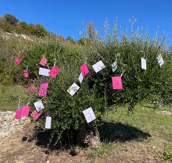 octobre rose FB 9.jpg