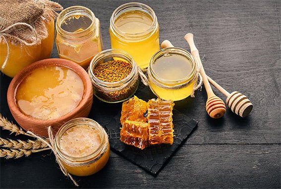 abeille FB 2.jpg