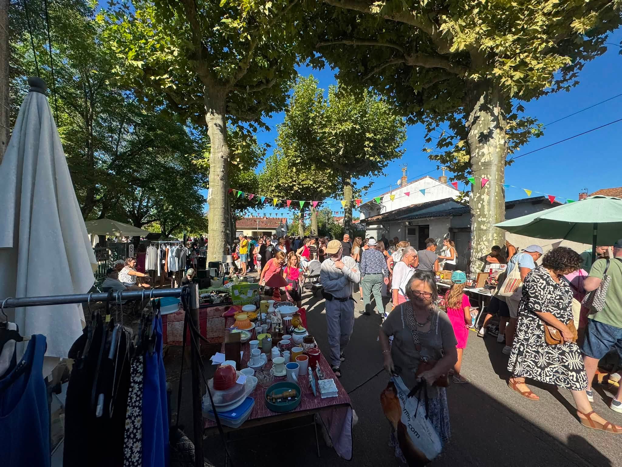 vide grenier 3.jpg