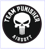 TEAM PUNISHER.png