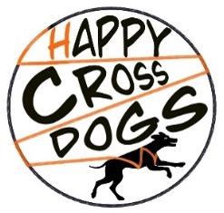 happy cross dogs.jpg