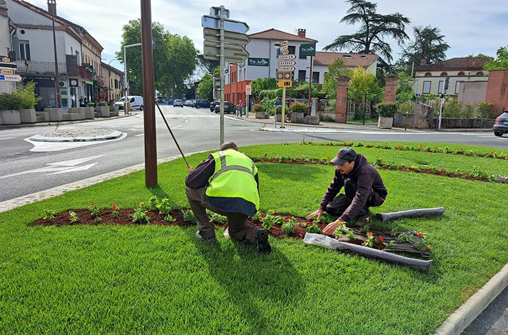 fleurs d_été FB.jpg