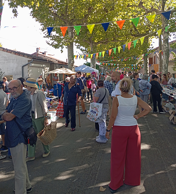 vide grenier FB 2.jpg