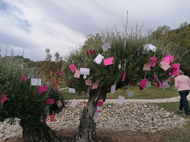 octobre rose FB 4.jpg