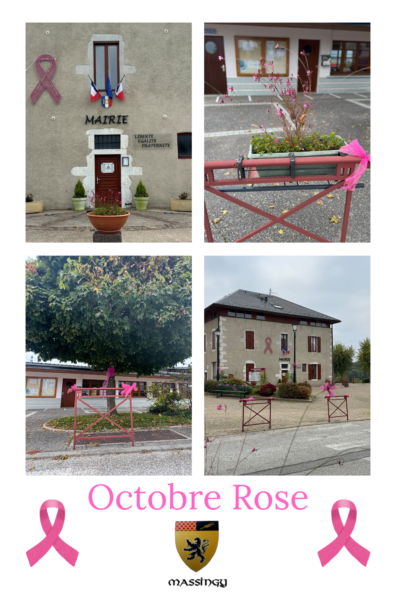 Montage Photo Octobre Rose.png