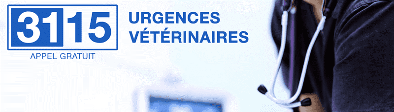 Image uregences vétérinaires.png