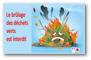 Image déchets verts