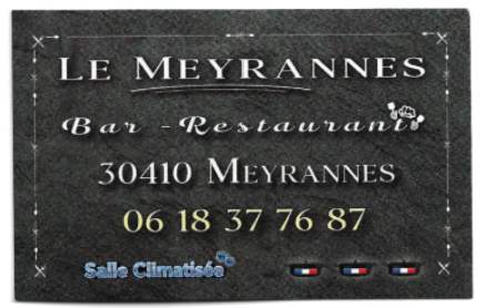 CV_REST_Meyr_01.png