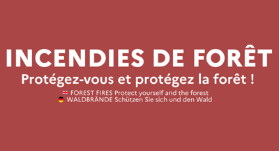 incendi_foret.png
