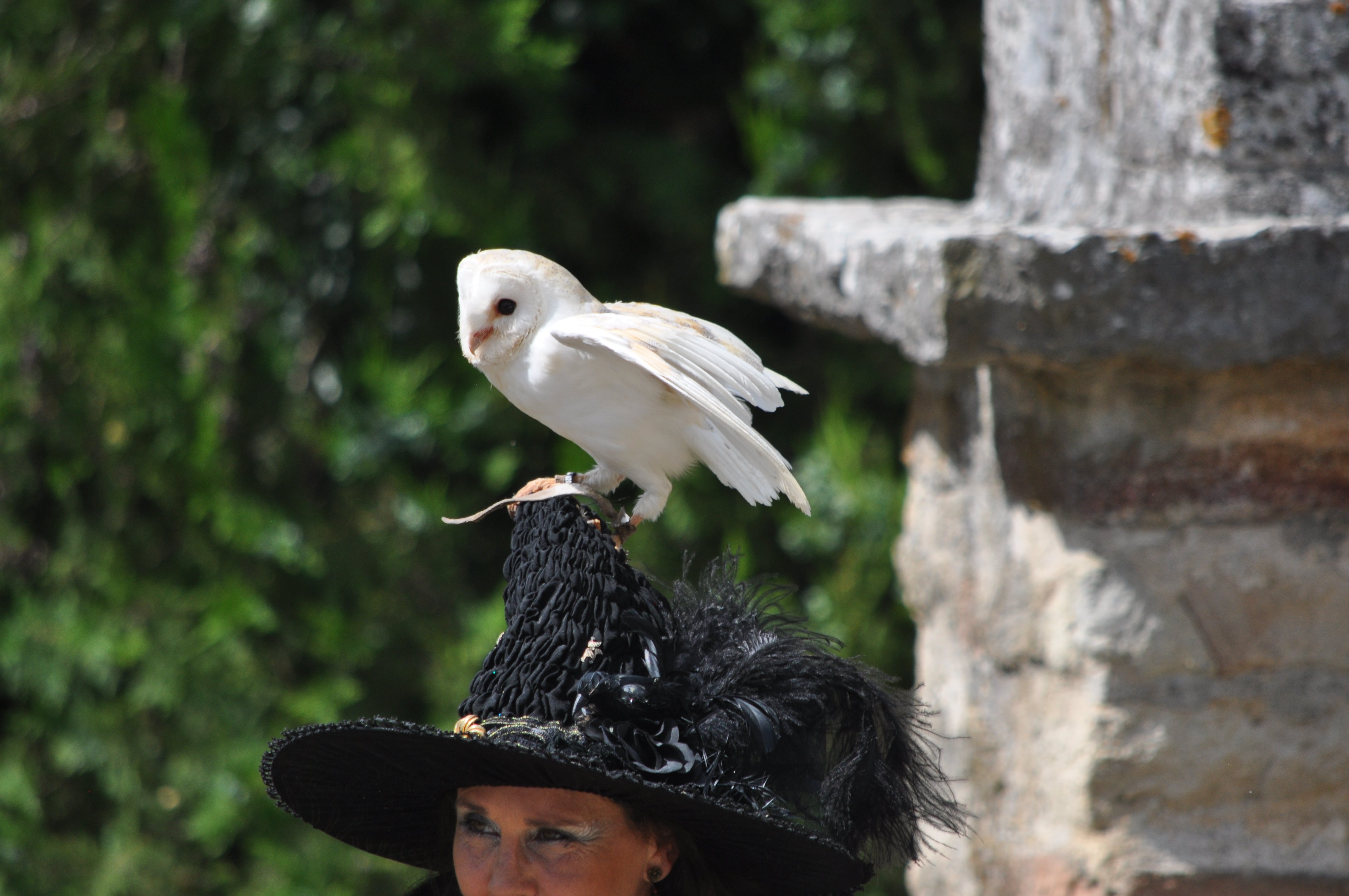 DSC_0443.JPG