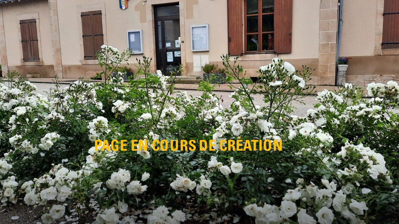 Page en cours de crÉation.jpg