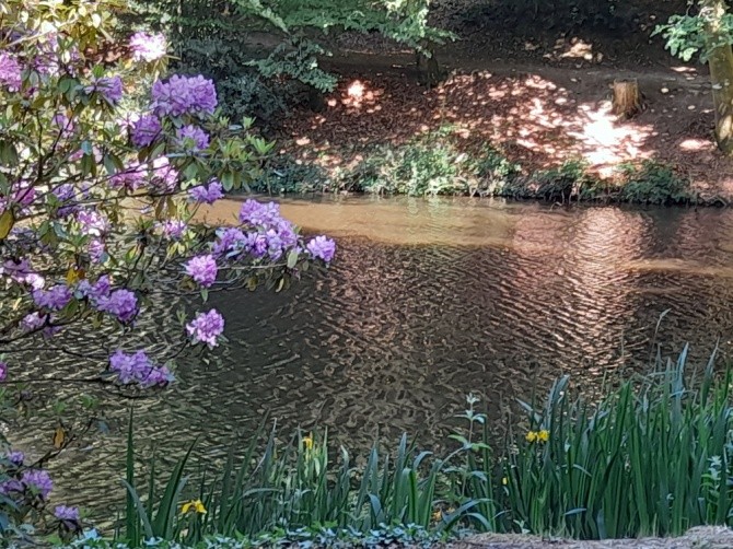 Parc du Château