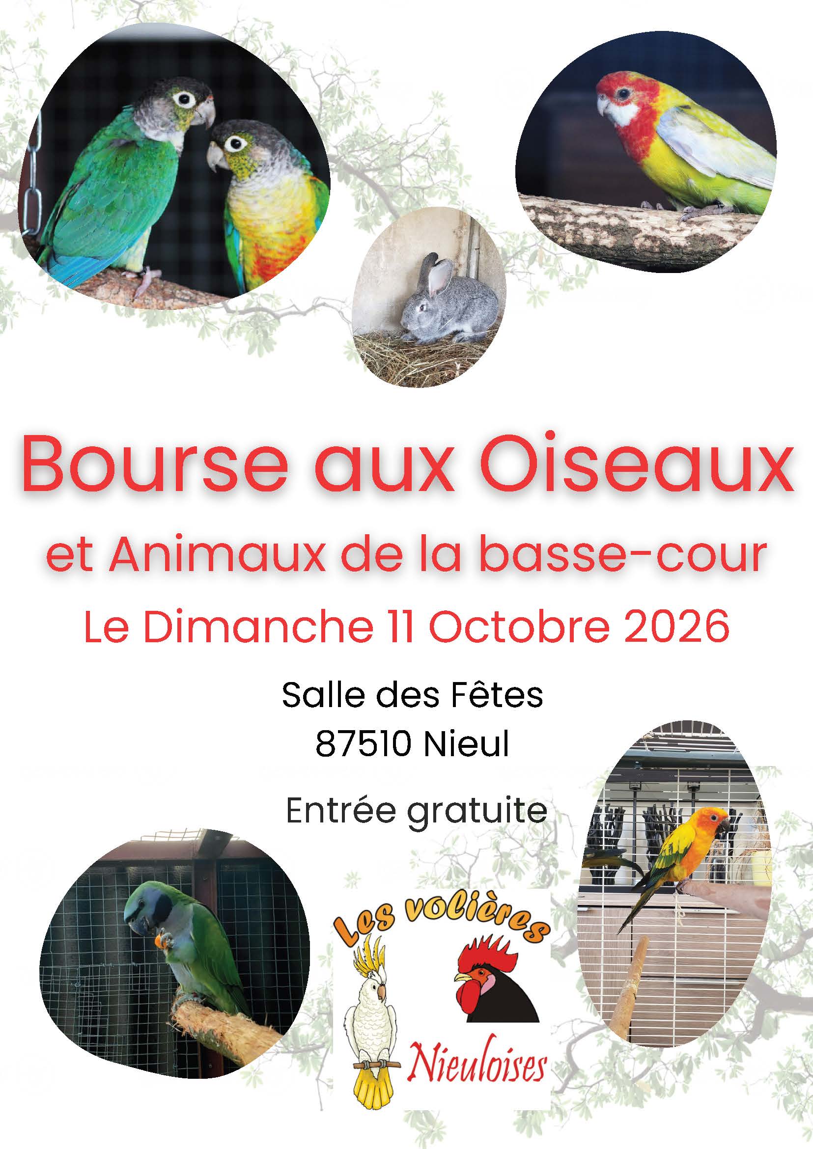 Bourse aux oiseaux 2026