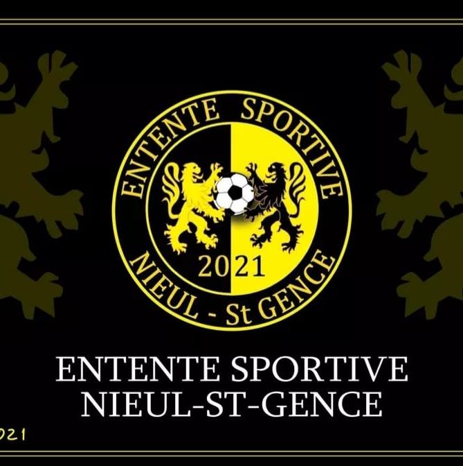 Logo ES Nieul St Gence.jpg