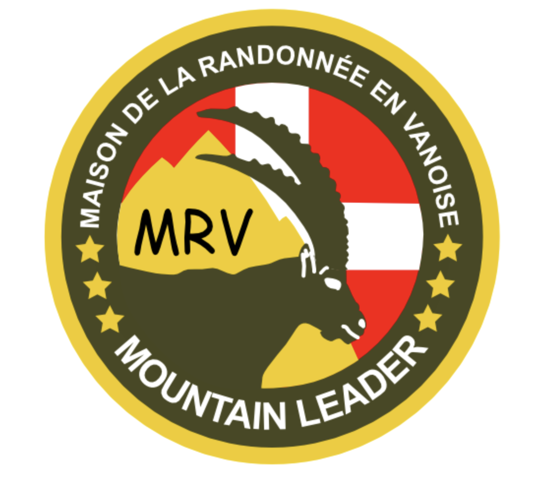 raquette10.png raquette10.png
