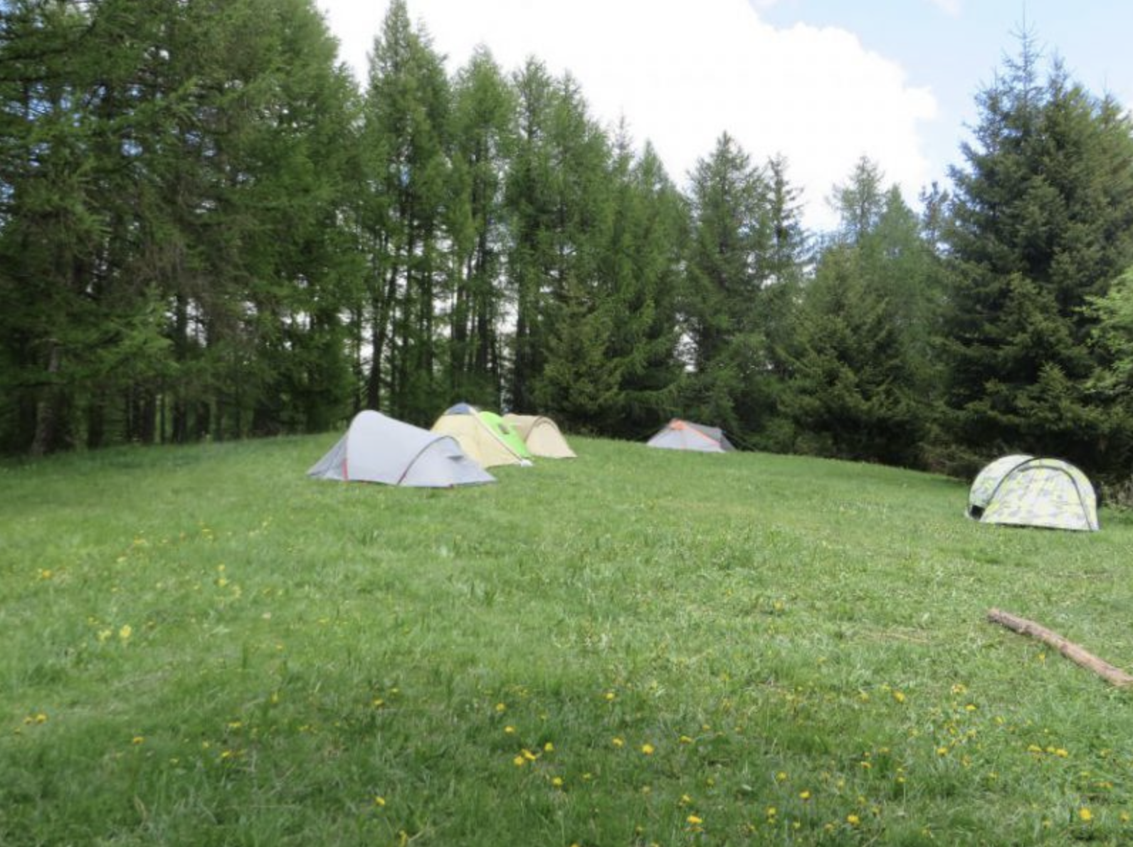 camping3.png