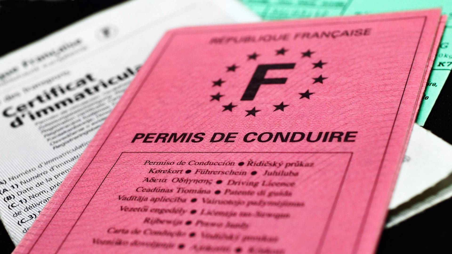 permis.jpeg