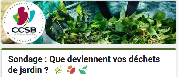 Sondage.png