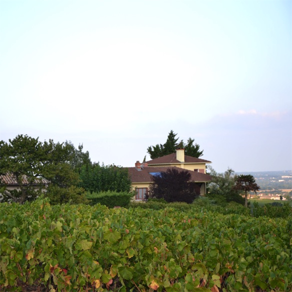 domaine-cret-des-garanches.jpg