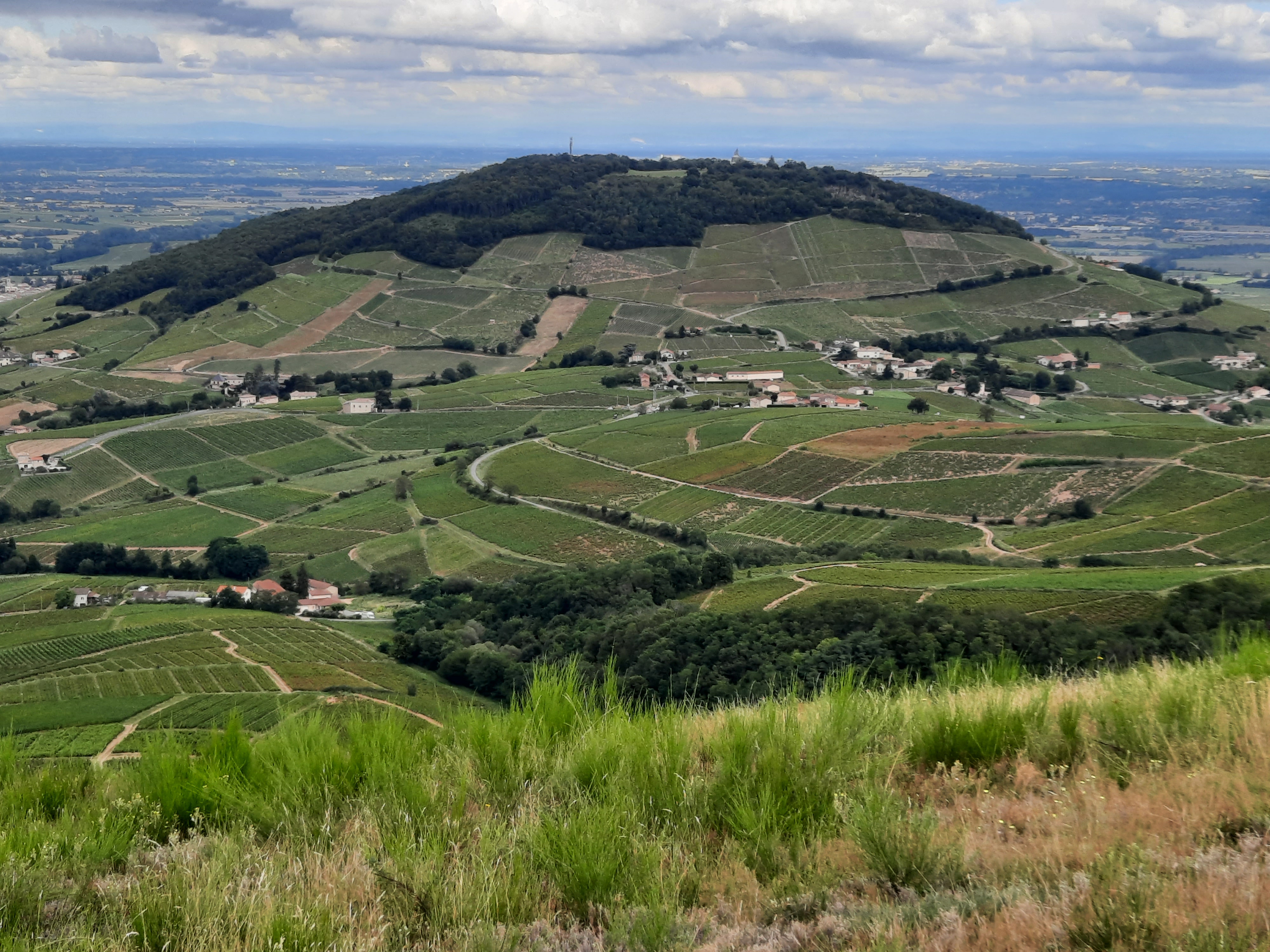Mont Brouilly