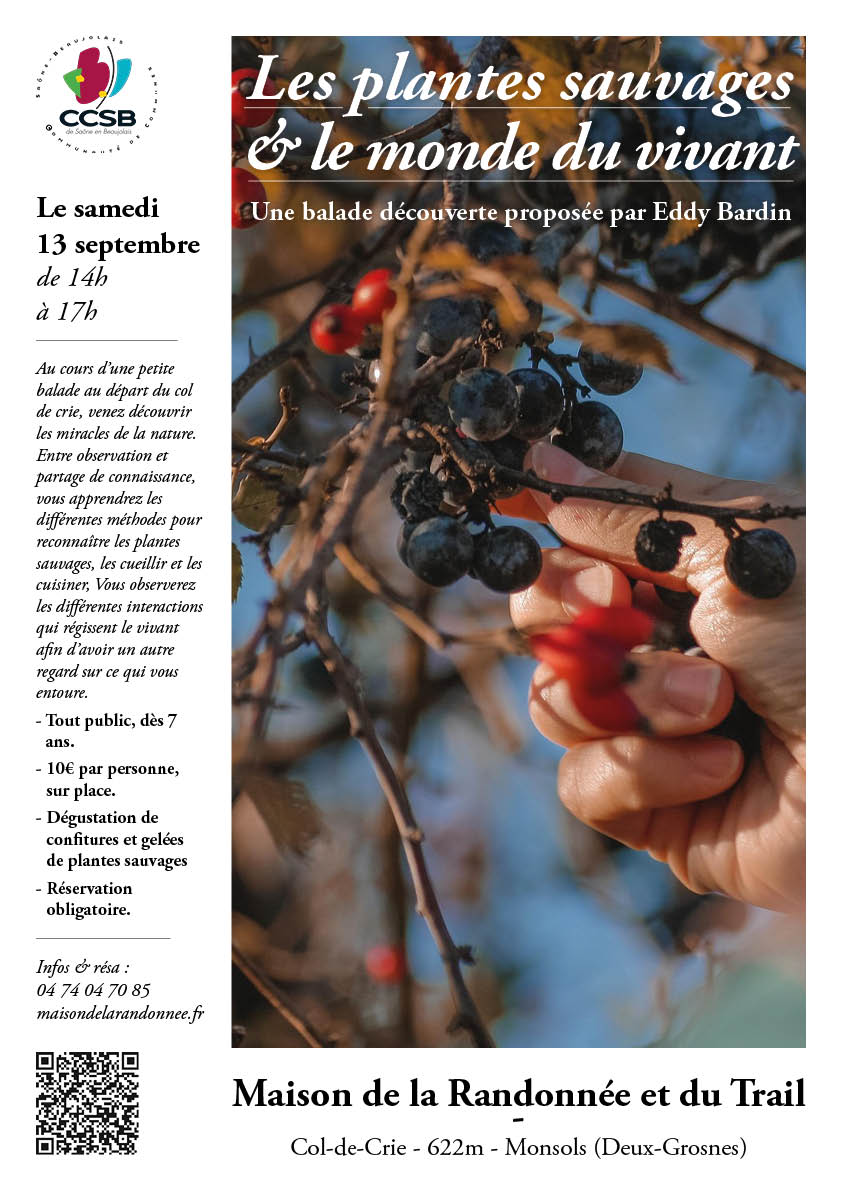 250913_Affiche_Plantes Sauvages.jpg