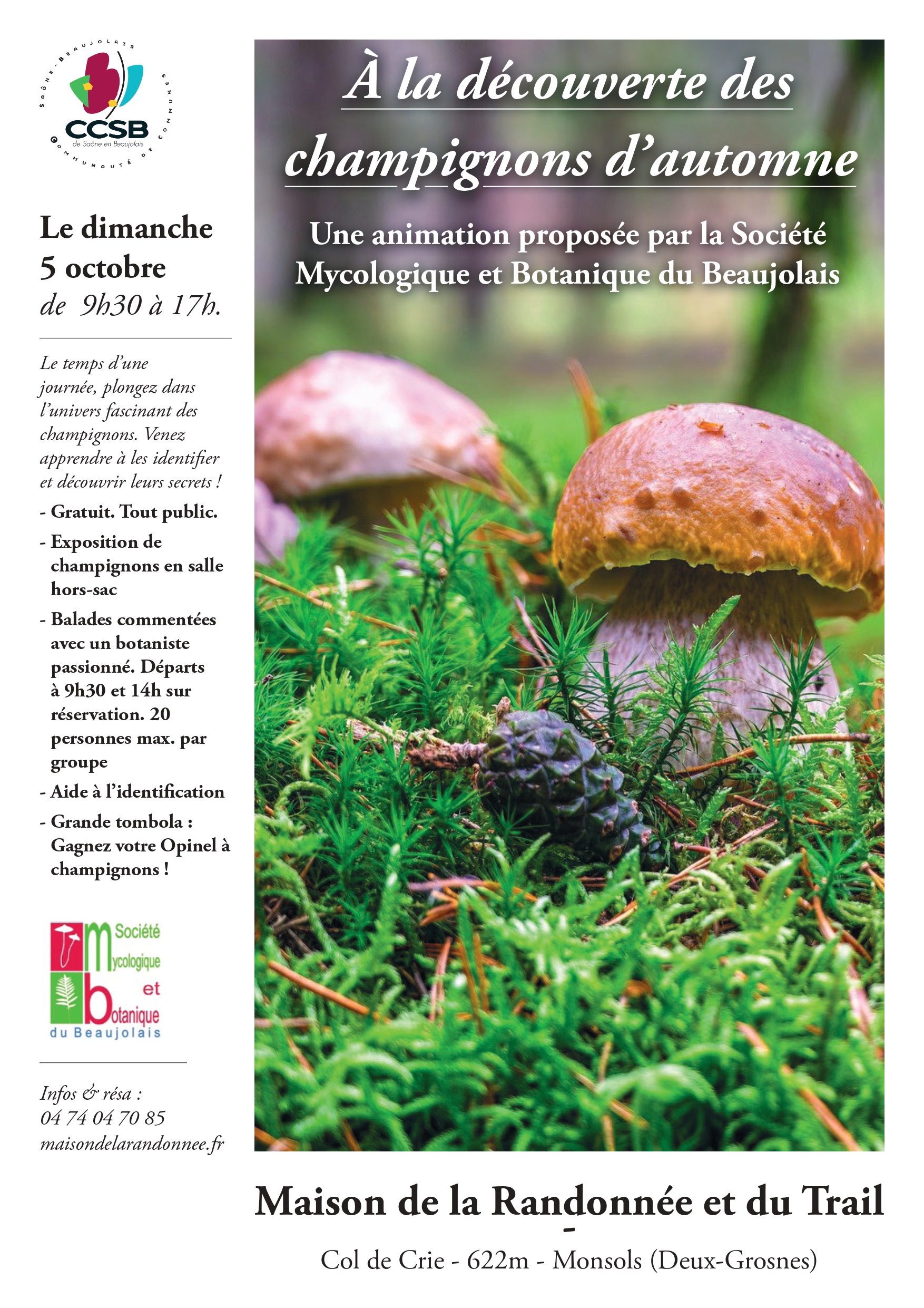 251005_Affiche_Champignons_page-0001.jpg