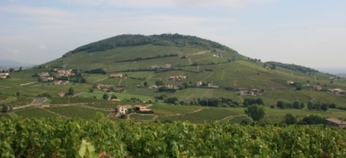 Mont Brouilly.jpg