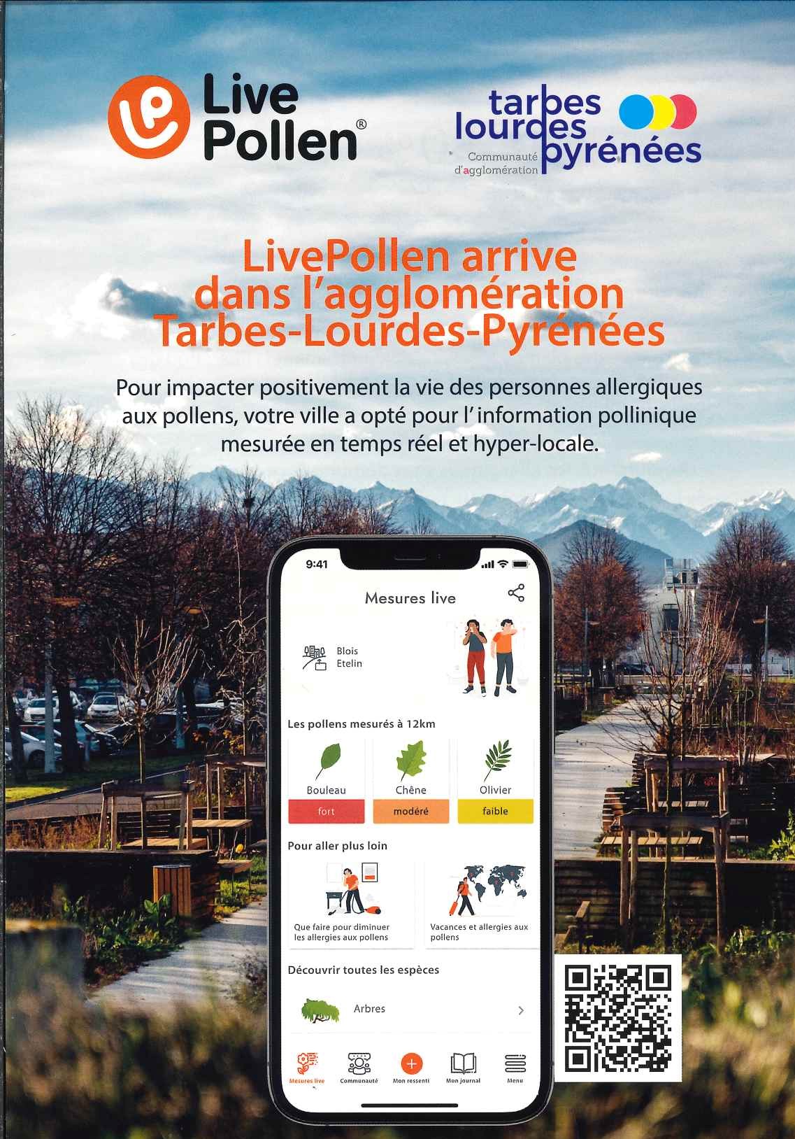 POLLEN1.jpg