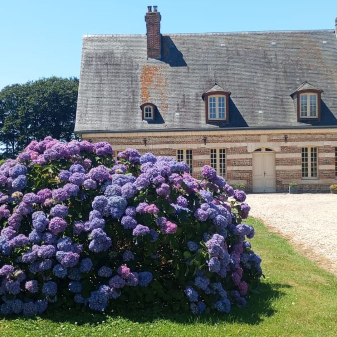 MaisonsFleuries-12.jpg