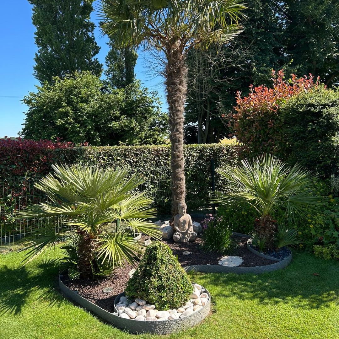 MaisonsFleuries-5.jpg