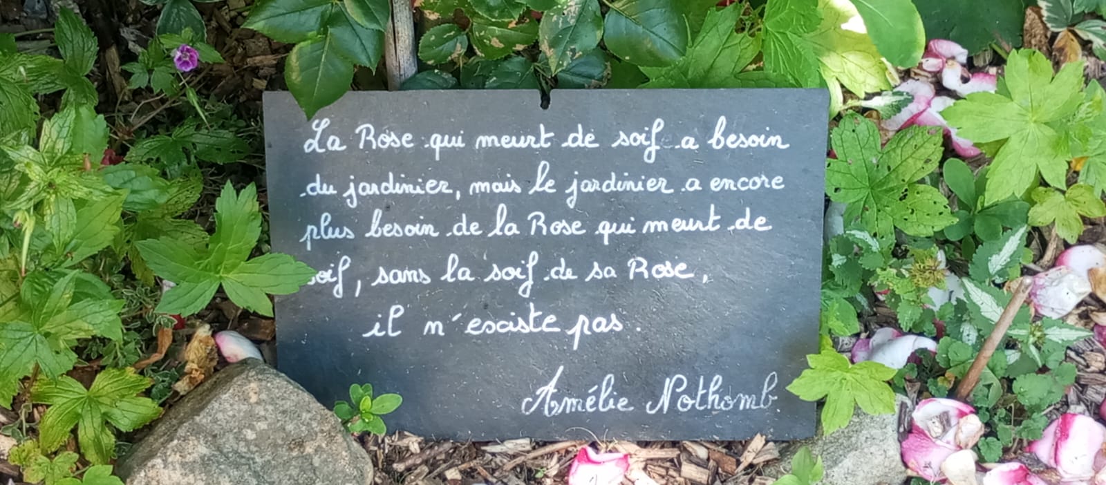 Maisons Fleuries