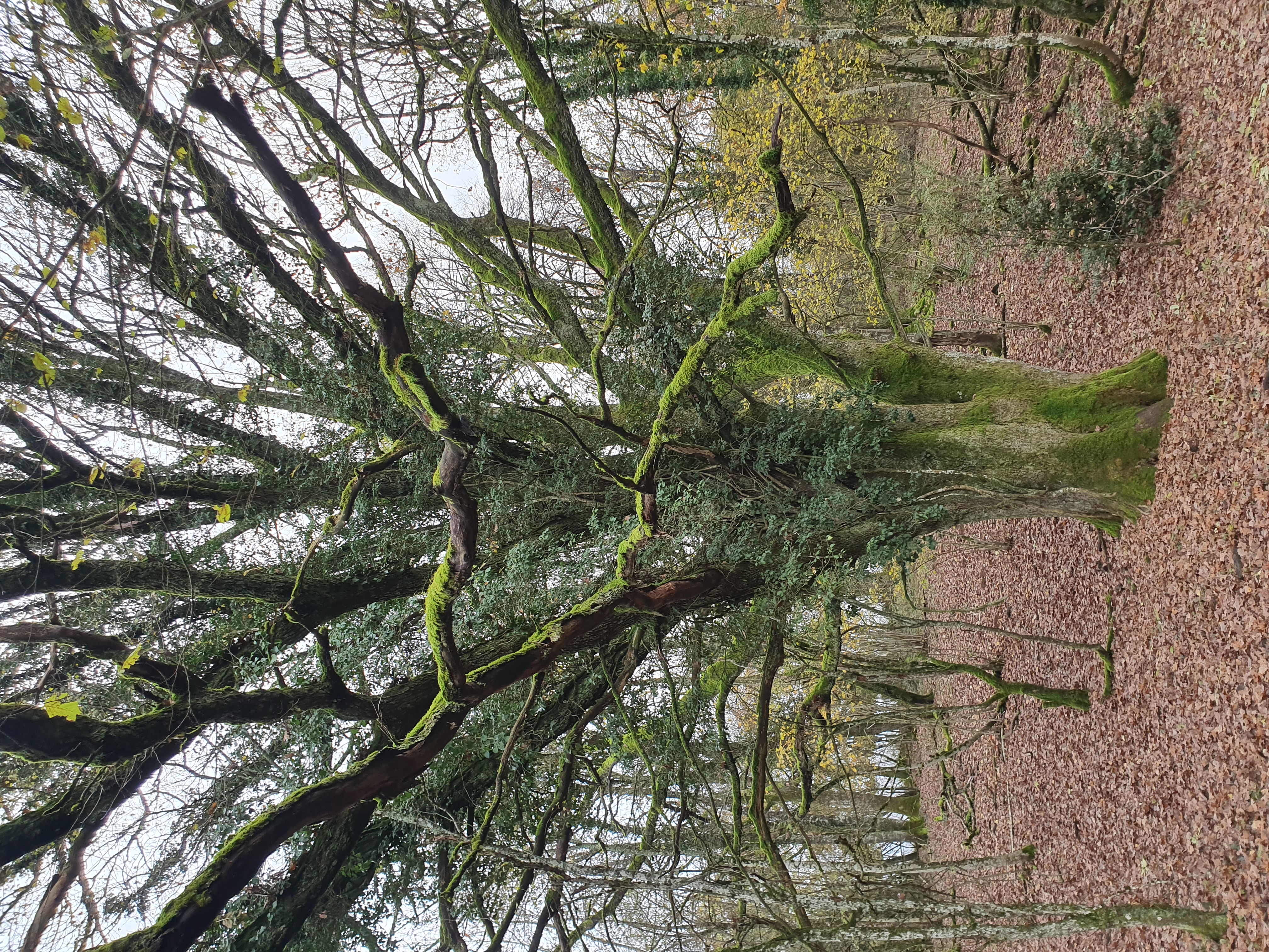 Lieux de chasse