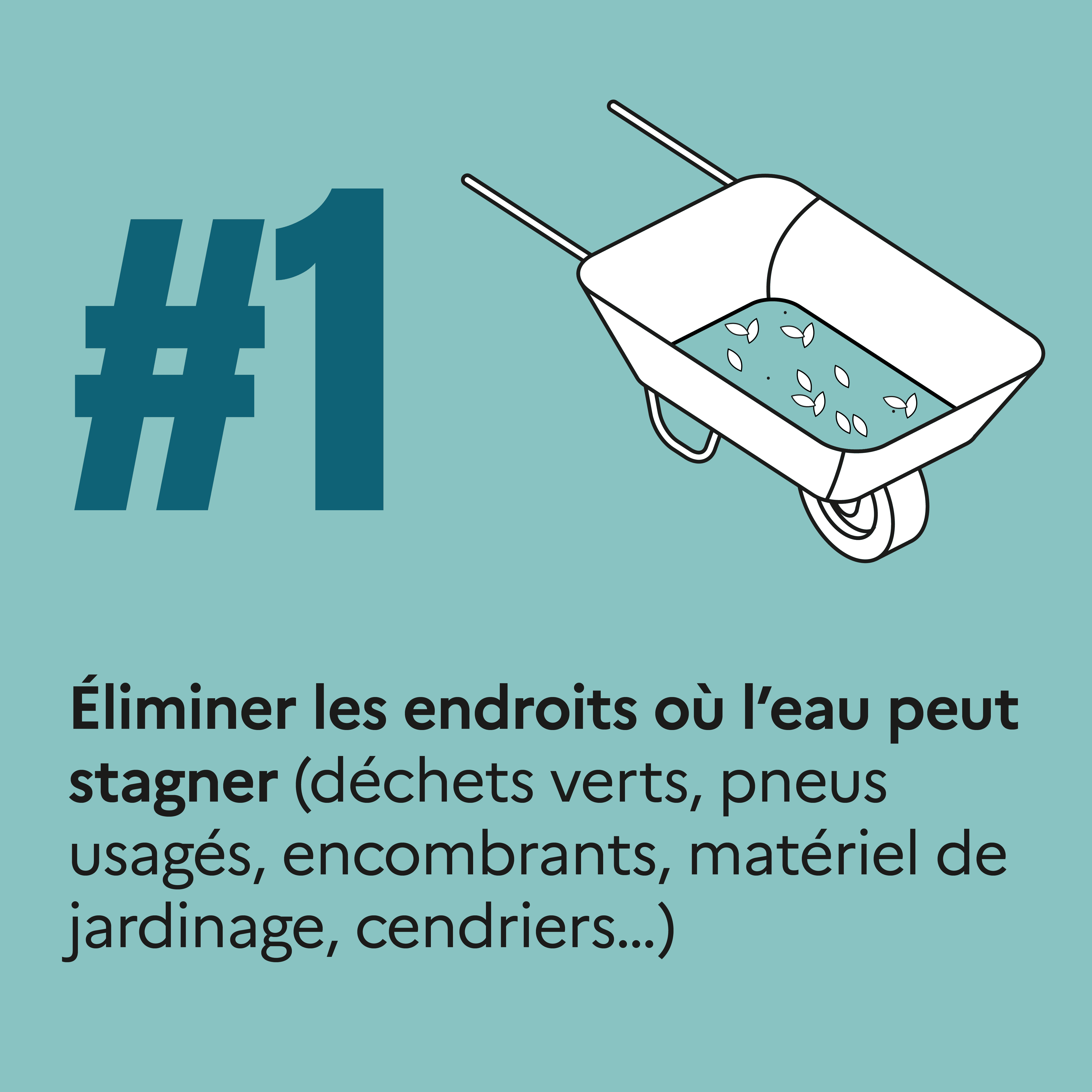 ARS_MOUSTIQUES_RS__1.png