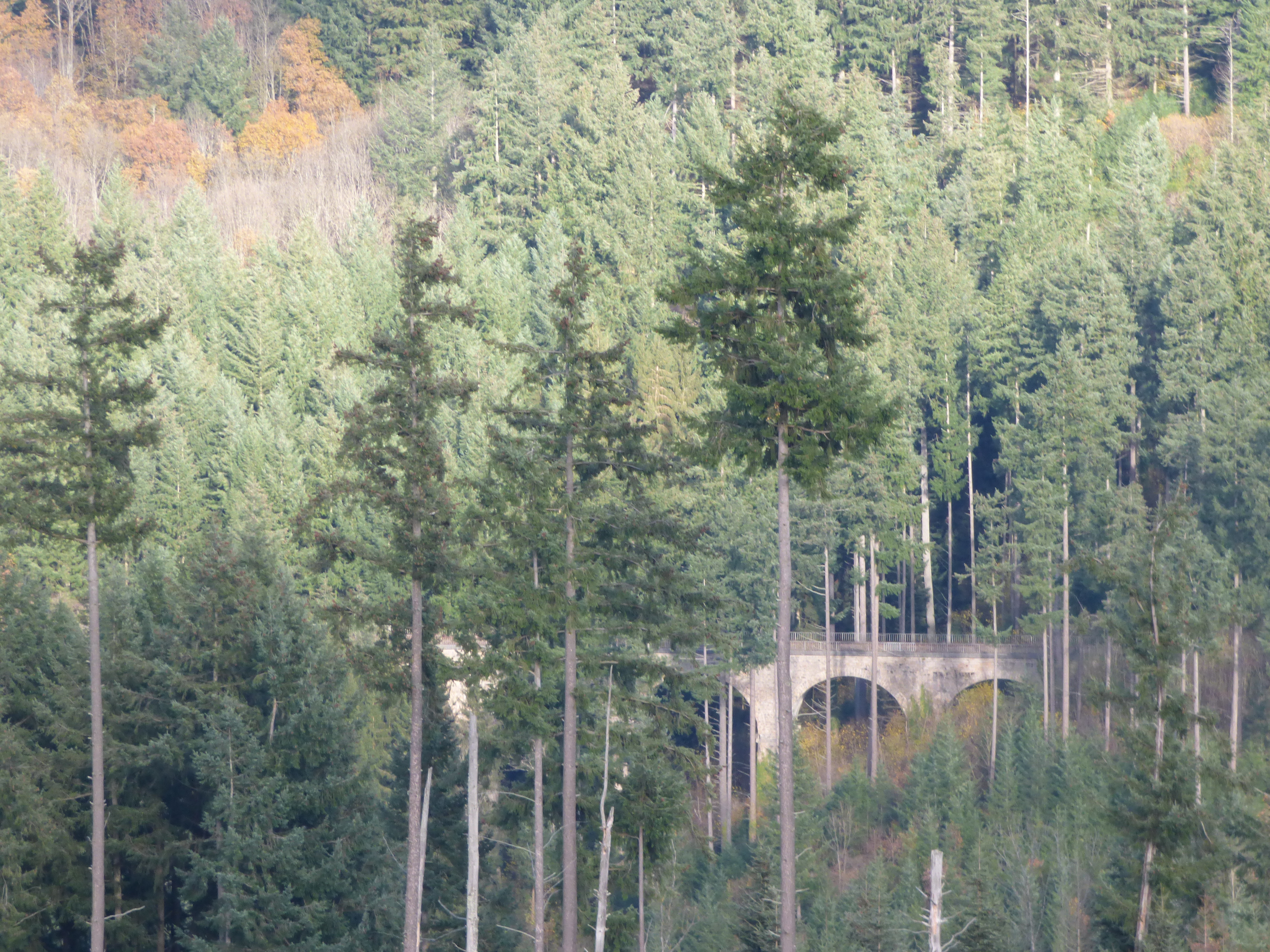 Viaduc vers Gravier.JPG