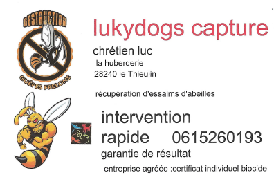 Lukydogs1 .png