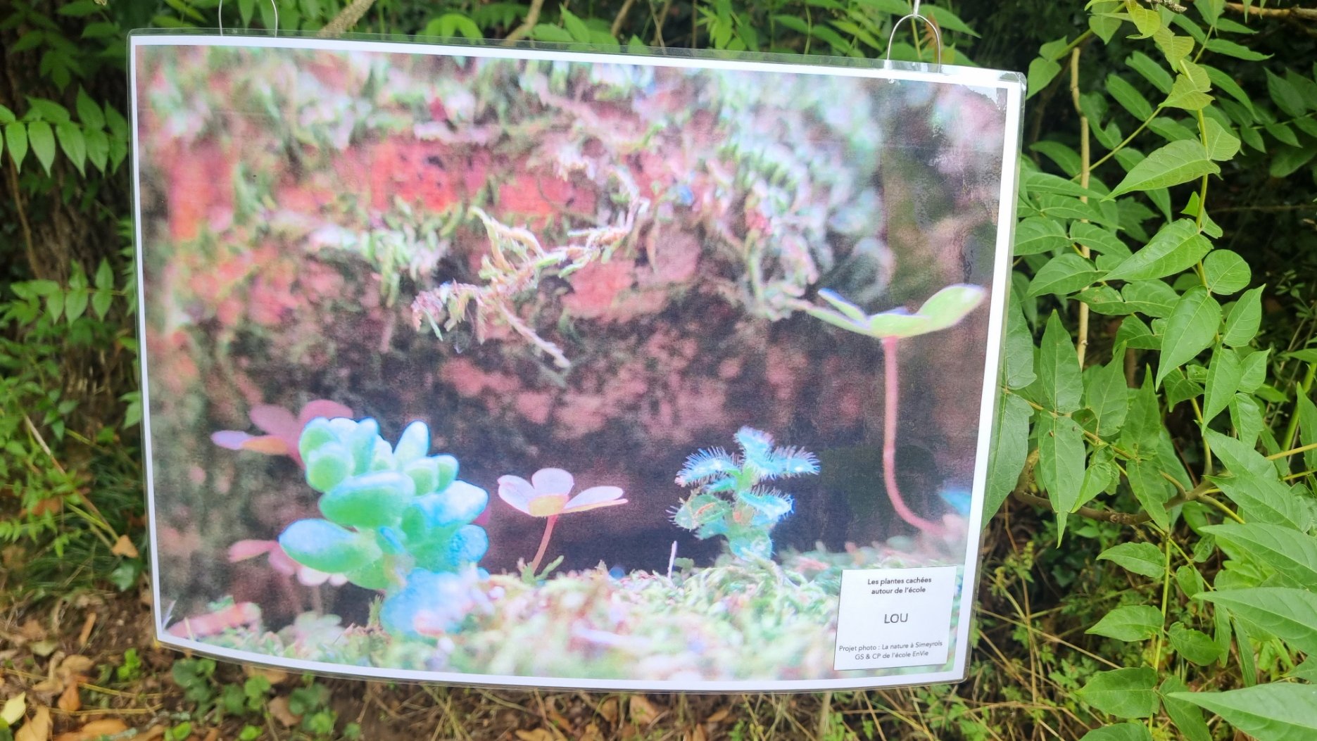 20250605_150345.jpg