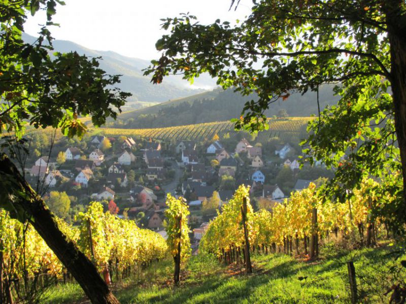 Zimmerbach en automne
