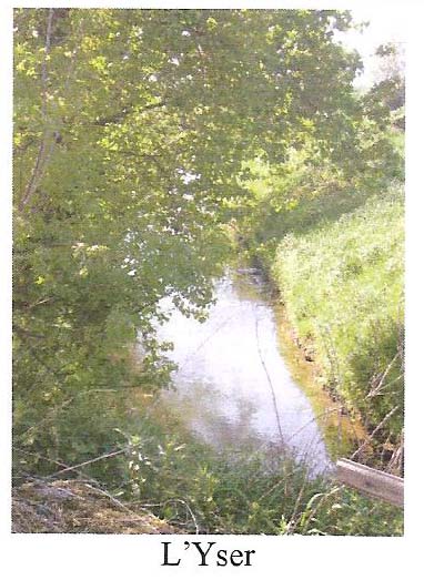 l yser.jpg