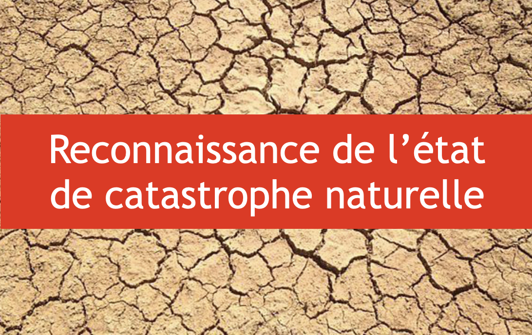 Capture-décran-2021-05-08-à-01.51.14.png