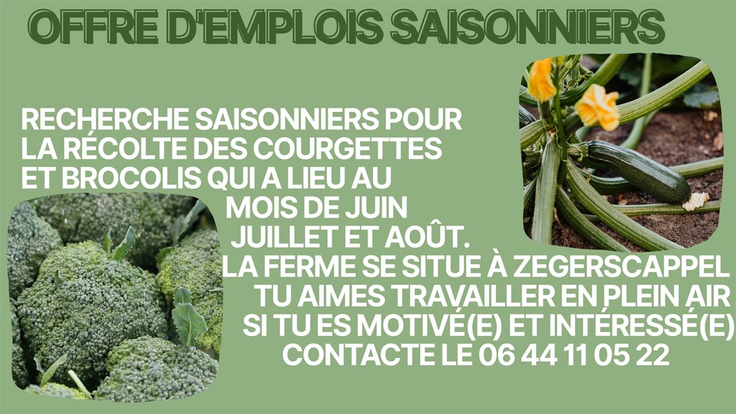 emplois saisonniers_h600.jpg