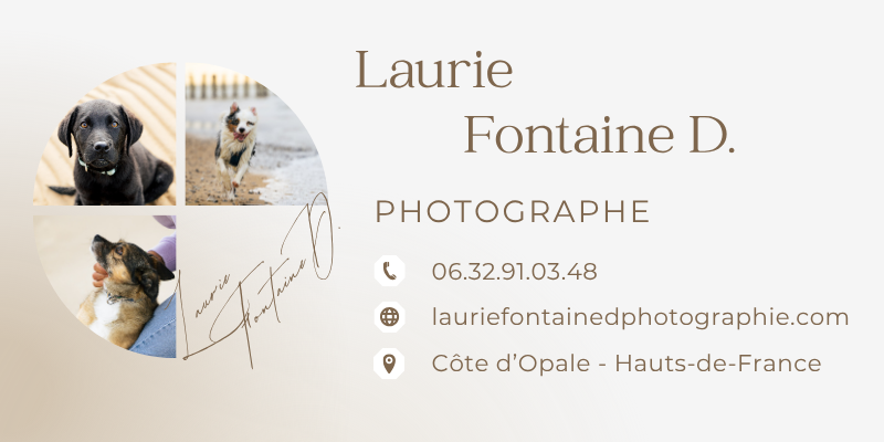 carte laurie fontaine.png