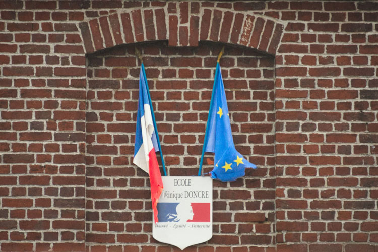 _DS0_50836_genErase _1__h500.jpg