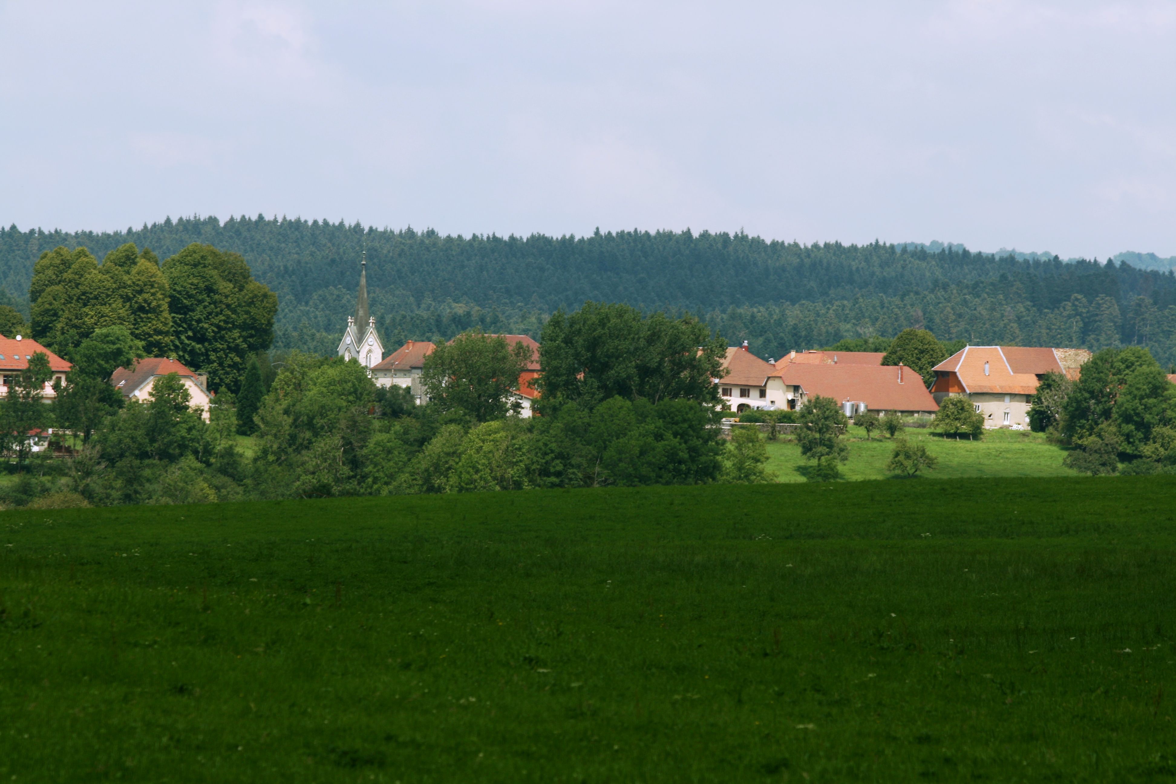Villeneuve d_Amont _3_.jpg