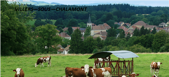 VILLERS SOUS CHALAMONT.png
