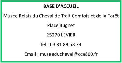 Capture d’écran 2026-02-23 145039.jpg