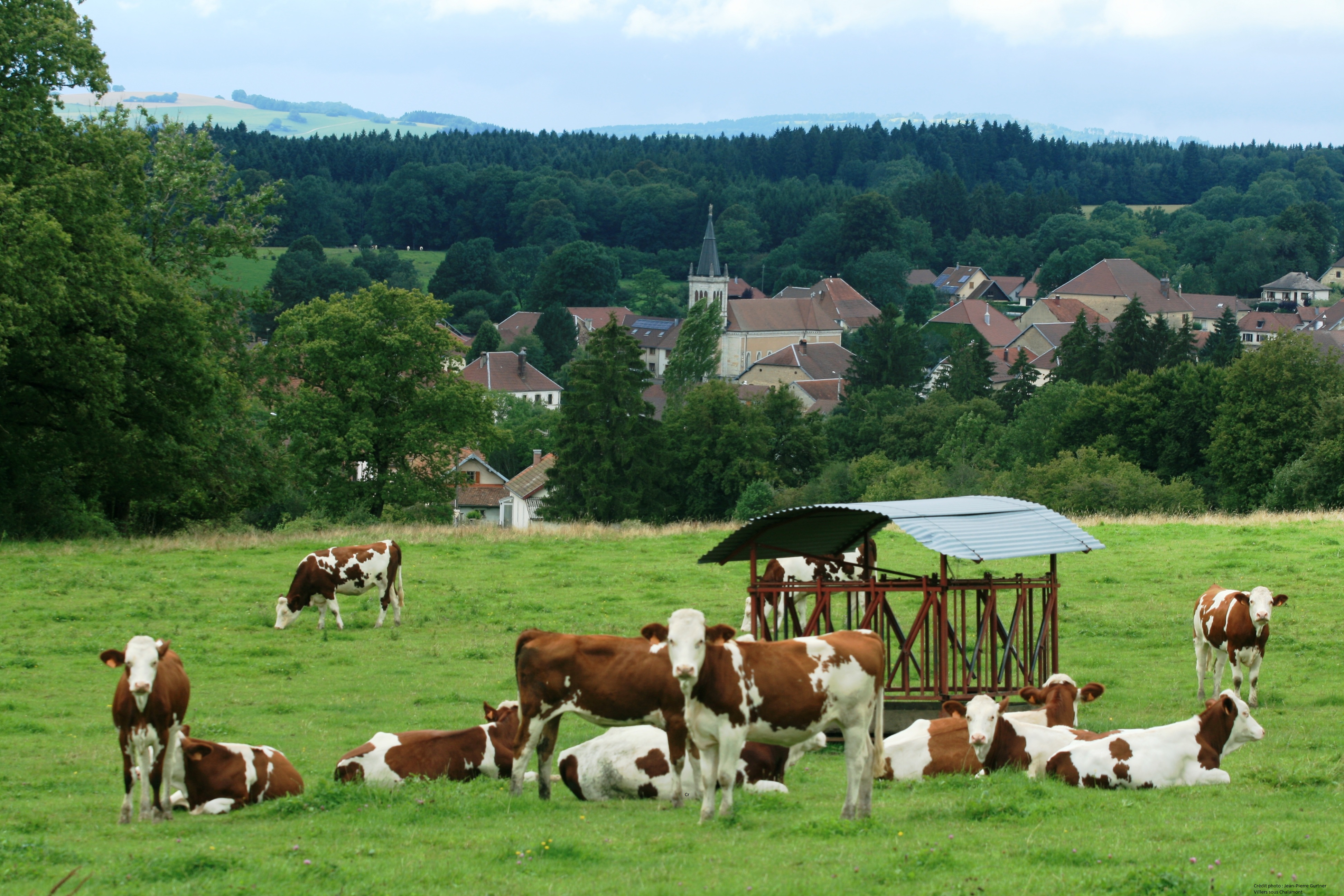 Villers Sous Chalamont _1__modif.jpg