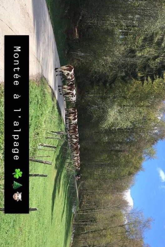 chaplle dhuin montee alpage.jpg